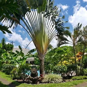 De La Punaauia (Tahiti)